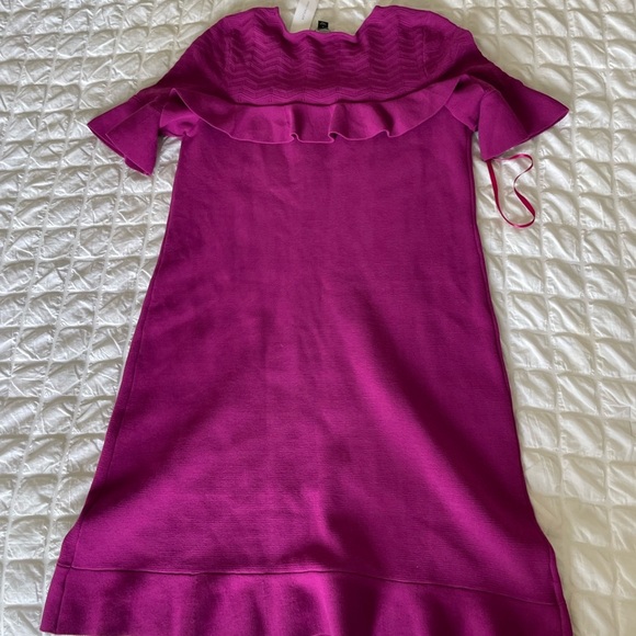 Ann Taylor Fucsia Knit Ruffled Midi Dress - Picture 9 of 10